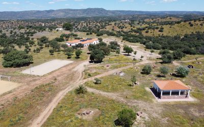 La Agenda Urbana Bailén 2030 inicia su andadura 